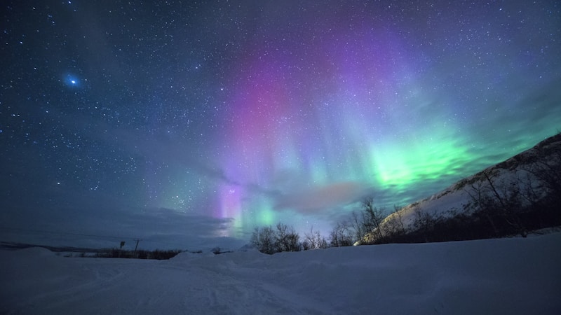Best Time to Visit Norway: Seasonal Travel Guide