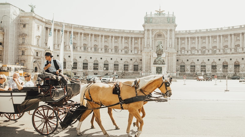 Travel Insurance for Austria: Alpine Adventures & City Breaks Covered